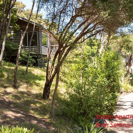 פאיהייה Bay Of Islands Holiday Apartments חדר תמונה